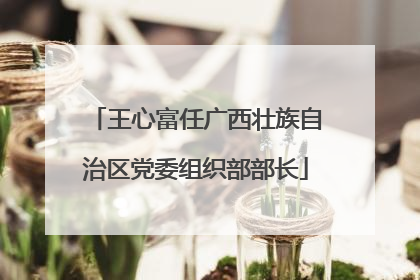 王心富任广西壮族自治区党委组织部部长