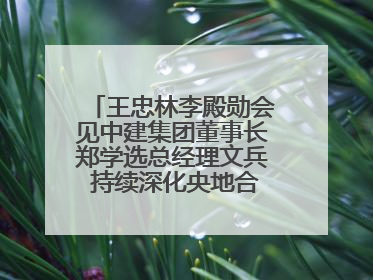 王忠林李殿勋会见中建集团董事长郑学选总经理文兵 持续深化央地合作 协力推动支点建设