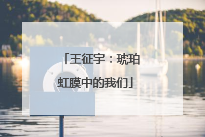 王征宇：琥珀虹膜中的我们