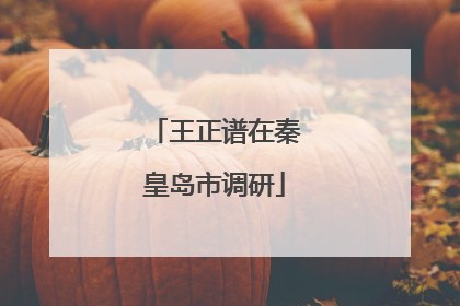 王正谱在秦皇岛市调研
