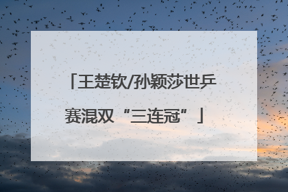 王楚钦/孙颖莎世乒赛混双“三连冠”