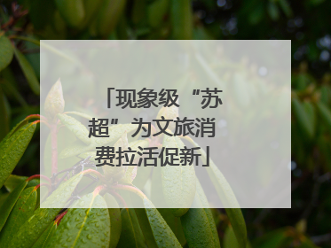 现象级“苏超”为文旅消费拉活促新
