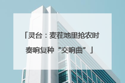 灵台：麦茬地里抢农时 奏响复种“交响曲”