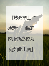 炒鸡节上“整活”！临沂这所新高校为何如此出圈