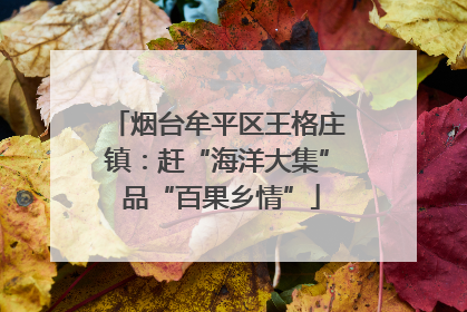 烟台牟平区王格庄镇：赶“海洋大集” 品“百果乡情”