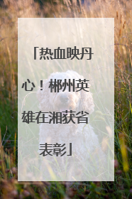 热血映丹心！郴州英雄在湘获省表彰