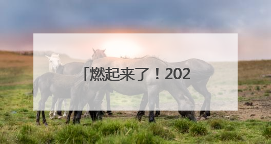 燃起来了！2025鹤壁国际匹克球邀请赛激情开赛