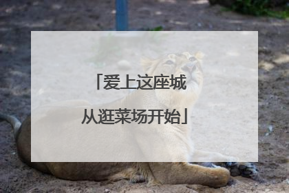 爱上这座城 从逛菜场开始