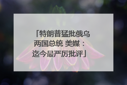 特朗普猛批俄乌两国总统 美媒：迄今最严厉批评