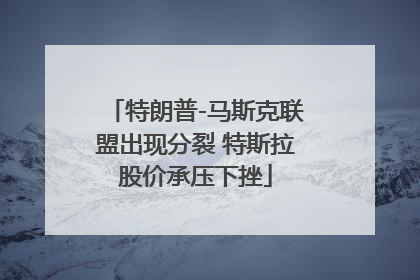 特朗普-马斯克联盟出现分裂 特斯拉股价承压下挫