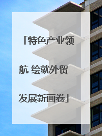特色产业领航 绘就外贸发展新画卷