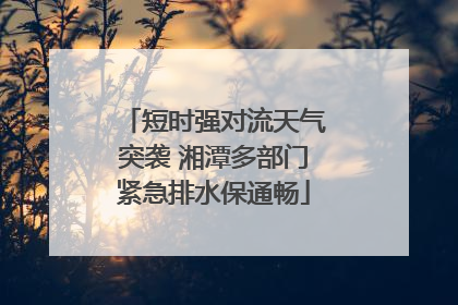 短时强对流天气突袭 湘潭多部门紧急排水保通畅