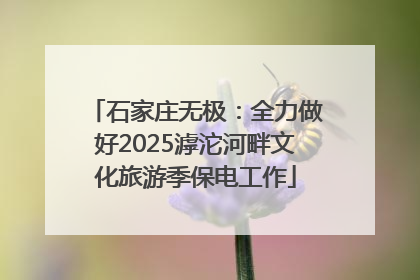 石家庄无极：全力做好2025滹沱河畔文化旅游季保电工作