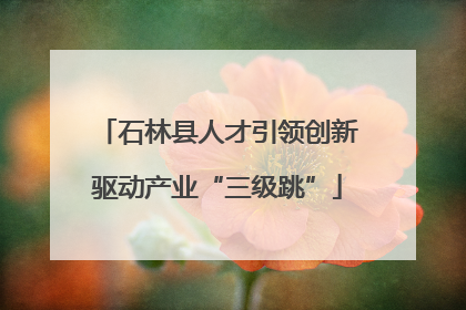 石林县人才引领创新驱动产业“三级跳”