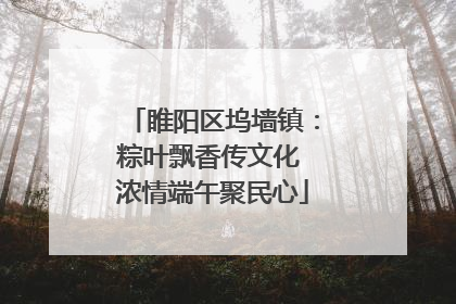 睢阳区坞墙镇：粽叶飘香传文化 浓情端午聚民心