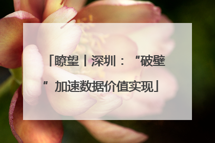 瞭望丨深圳：“破壁”加速数据价值实现
