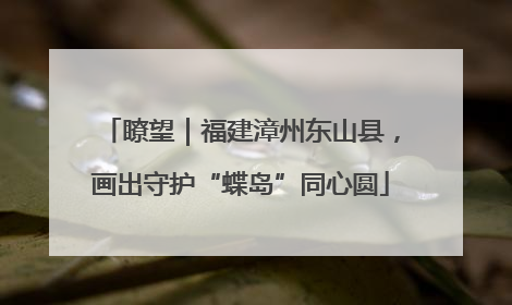 瞭望｜福建漳州东山县，画出守护“蝶岛”同心圆