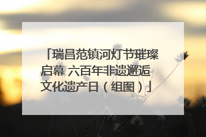瑞昌范镇河灯节璀璨启幕 六百年非遗邂逅文化遗产日（组图）