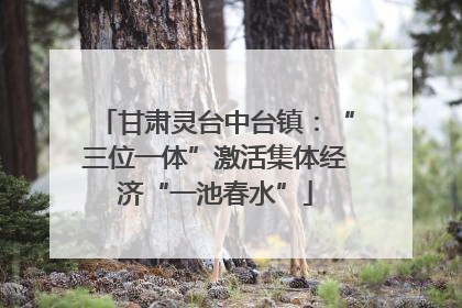 甘肃灵台中台镇：“三位一体”激活集体经济“一池春水”