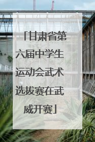 甘肃省第六届中学生运动会武术选拔赛在武威开赛