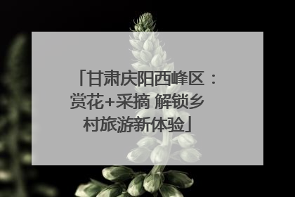 甘肃庆阳西峰区：赏花+采摘 解锁乡村旅游新体验