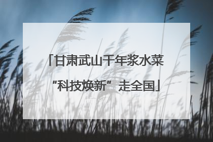 甘肃武山千年浆水菜“科技焕新”走全国