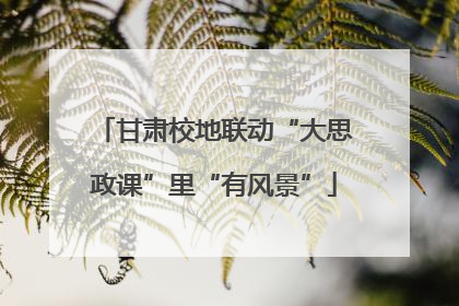 甘肃校地联动“大思政课”里“有风景”