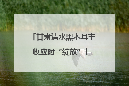 甘肃清水黑木耳丰收应时“绽放”