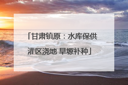 甘肃镇原：水库保供 灌区浇地 旱塬补种