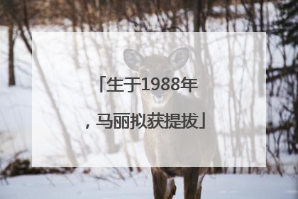 生于1988年，马丽拟获提拔