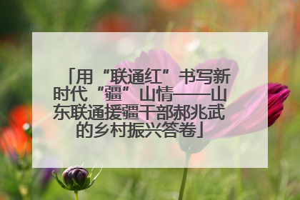 用“联通红”书写新时代“疆”山情——山东联通援疆干部郝兆武的乡村振兴答卷