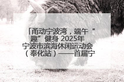 甬动宁波湾，端午“趣”健身 2025年宁波市滨海休闲运动会（奉化站）——首届宁波湾海洋运动会盛
