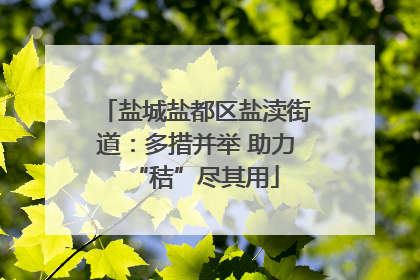 盐城盐都区盐渎街道：多措并举 助力“秸”尽其用