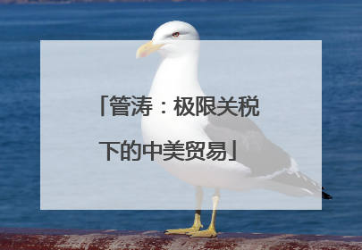 管涛：极限关税下的中美贸易
