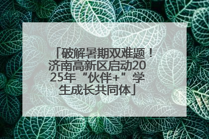 破解暑期双难题！济南高新区启动2025年“伙伴+”学生成长共同体