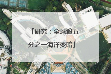 研究：全球逾五分之一海洋变暗