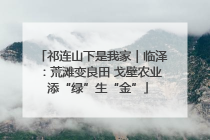 祁连山下是我家｜临泽：荒滩变良田 戈壁农业添“绿”生“金”