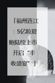 福州连江：5亿粒夏鲍陆续上市 开启“丰收盛宴”