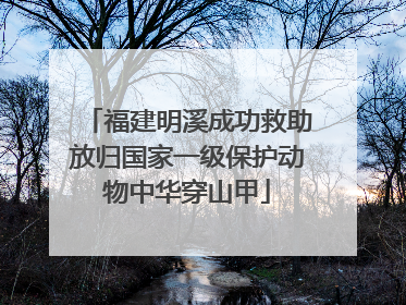 福建明溪成功救助放归国家一级保护动物中华穿山甲