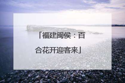 福建闽侯：百合花开迎客来