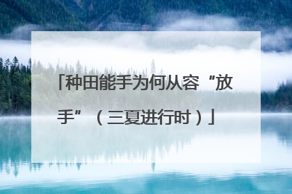 种田能手为何从容“放手”（三夏进行时）