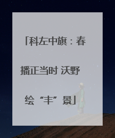 科左中旗：春播正当时 沃野绘“丰”景