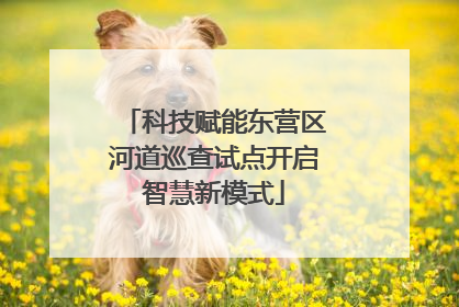 科技赋能东营区河道巡查试点开启智慧新模式