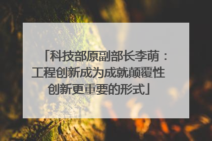 科技部原副部长李萌：工程创新成为成就颠覆性创新更重要的形式