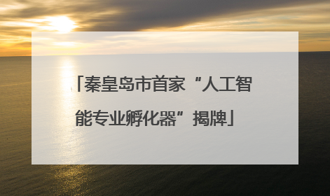 秦皇岛市首家“人工智能专业孵化器”揭牌