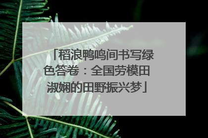 稻浪鸭鸣间书写绿色答卷：全国劳模田淑娴的田野振兴梦