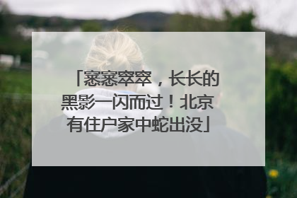 窸窸窣窣，长长的黑影一闪而过！北京有住户家中蛇出没