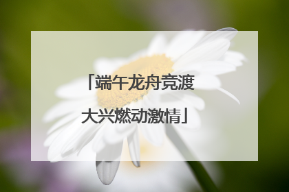 端午龙舟竞渡 大兴燃动激情