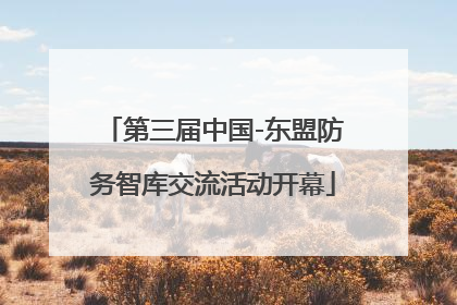 第三届中国-东盟防务智库交流活动开幕