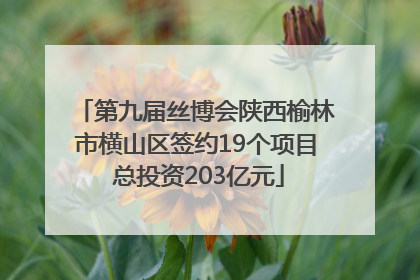 第九届丝博会陕西榆林市横山区签约19个项目 总投资203亿元